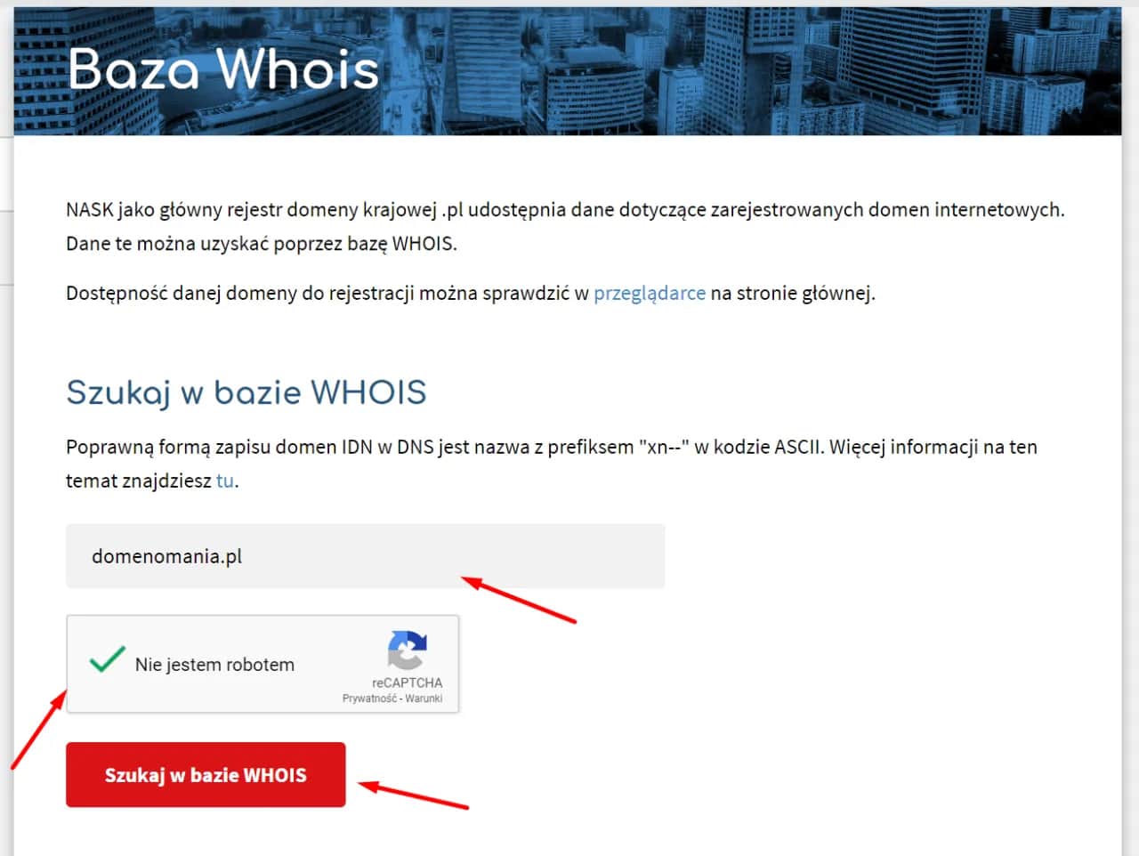 Jak sprawdzić właściciela domeny mimo RODO? Pełny poradnik